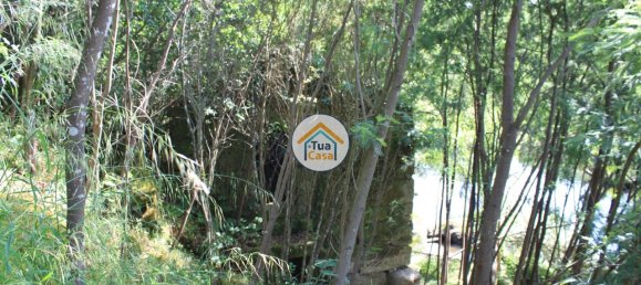 5 bedrooms House in Silgueiros, Portugal No. 58254 4