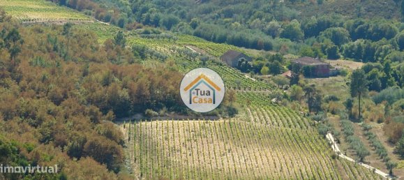 5 bedrooms House in Silgueiros, Portugal No. 58254 12