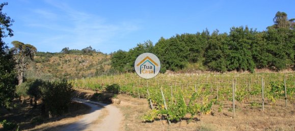 5 bedrooms House in Silgueiros, Portugal No. 58254 22