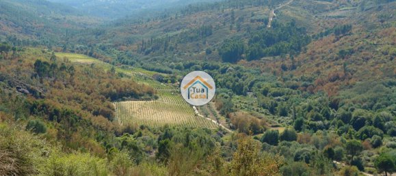 5 bedrooms House in Silgueiros, Portugal No. 58254 17