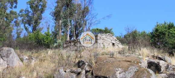 5 bedrooms House in Silgueiros, Portugal No. 58254 5