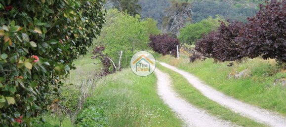 5 bedrooms House in Silgueiros, Portugal No. 58254 20