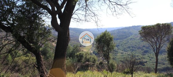 5 bedrooms House in Silgueiros, Portugal No. 58254 10