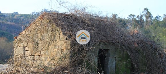 5 bedrooms House in Silgueiros, Portugal No. 58254 2