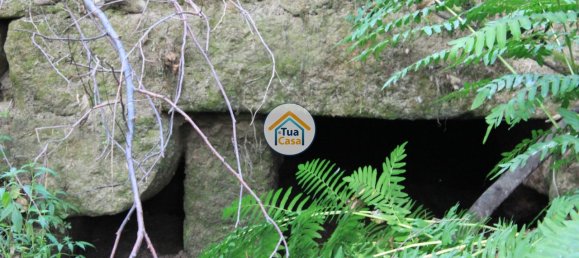 5 bedrooms House in Silgueiros, Portugal No. 58254 6