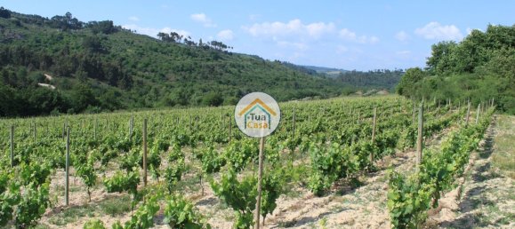 5 bedrooms House in Silgueiros, Portugal No. 58254 23