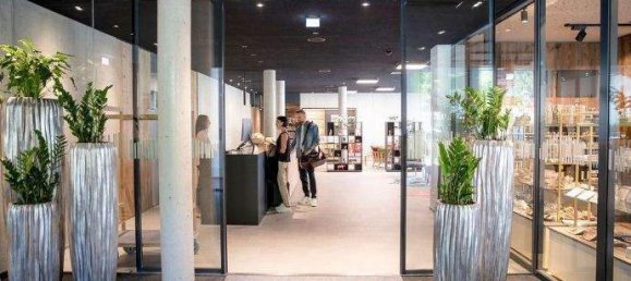 Пентхаус с 3 комнатами в Фибербрунн, Австрия № 228407 7