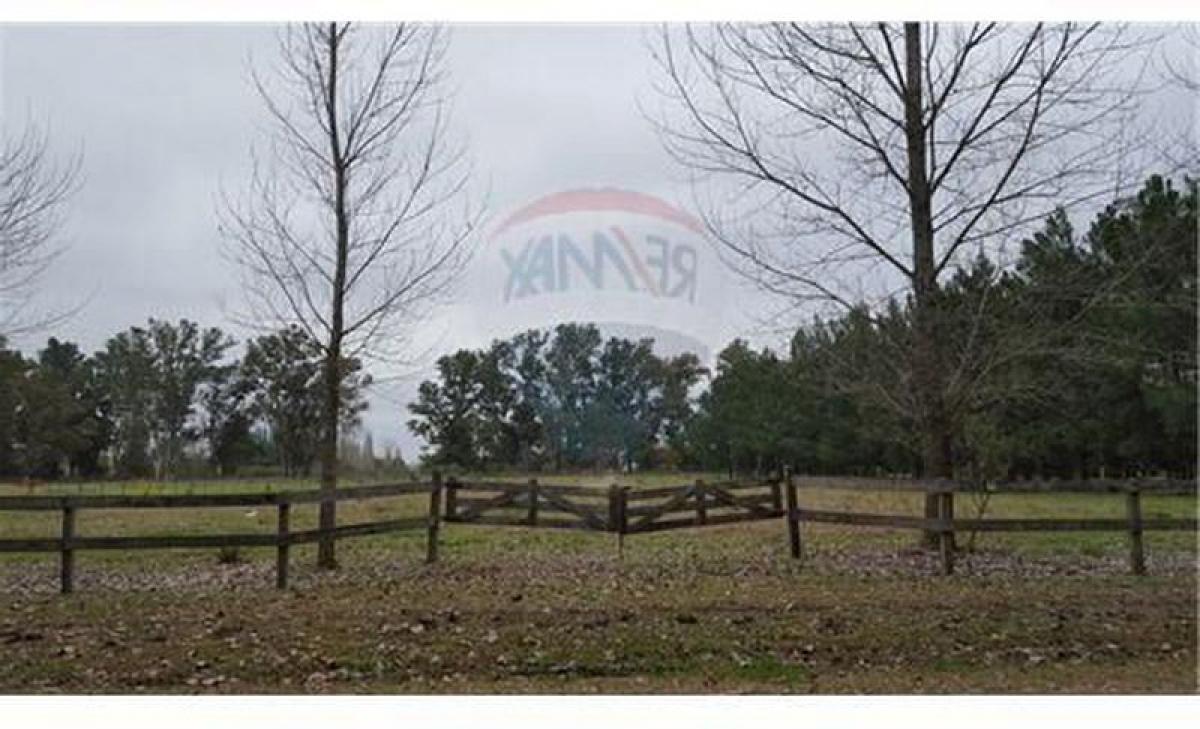  Land in Buenos Aires, Argentina No. 114082