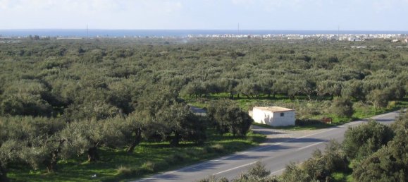 Недвижимость 579м² в Иерапетра, Ласитион, Крит, Греция № 4840 13