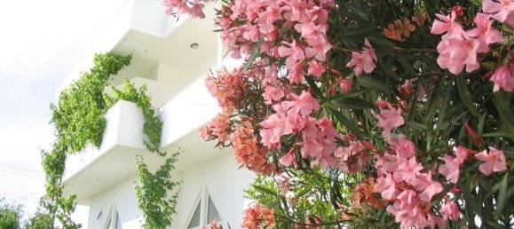Недвижимость 579м² в Иерапетра, Ласитион, Крит, Греция № 4840 15