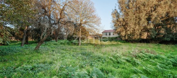 قطعة أرض في Gemeses, Portugal رقم 54452 15