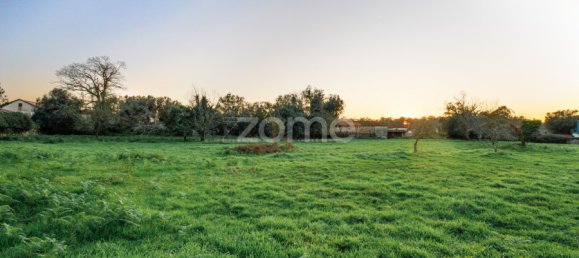 قطعة أرض في Gemeses, Portugal رقم 54452 8