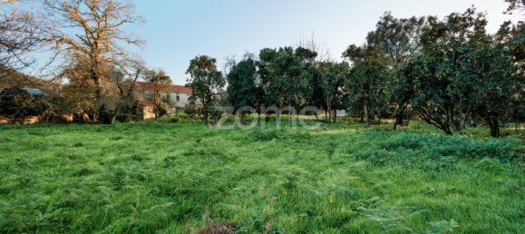 قطعة أرض في Gemeses, Portugal رقم 54452 14