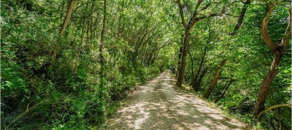 9 bedrooms House in Urbino, Italy No. 276829 5