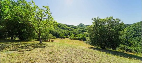 9 bedrooms House in Urbino, Italy No. 276829 9