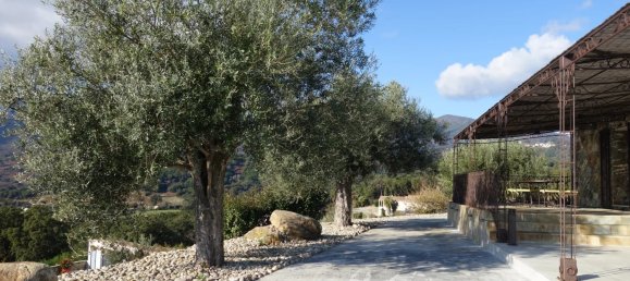 5 Schlafzimmer Haus in Santa-Lucia-di-Moriani, France, Nr. 154763 37