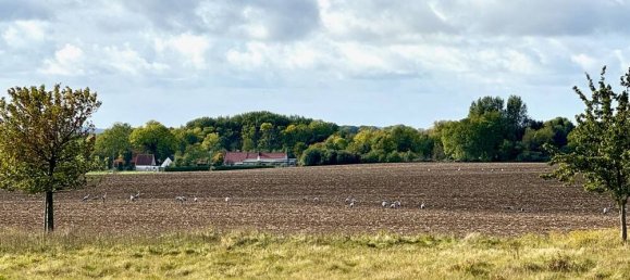 1 bedroom Apartment in Vorpommern-Rugen, Germany No. 171674 5