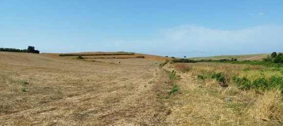 4278m² Land in Artena, Italy No. 291069 2