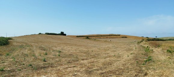 4278m² Land in Artena, Italy No. 291069 3