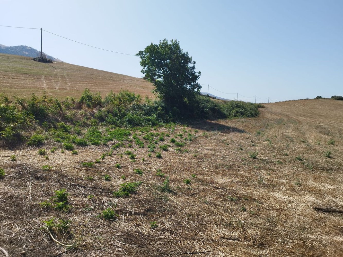 4278m² Land in Artena, Italy No. 291069
