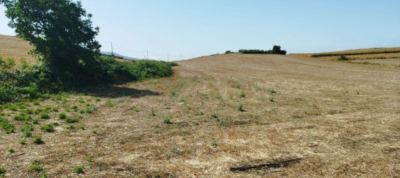 4278m² Land in Artena, Italy No. 291069 4