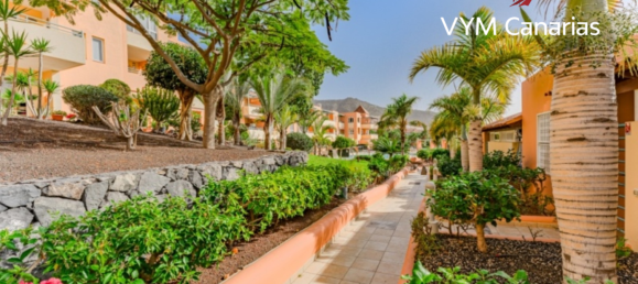 2 bedrooms Apartment in Adeje, Spain No. 15273 14