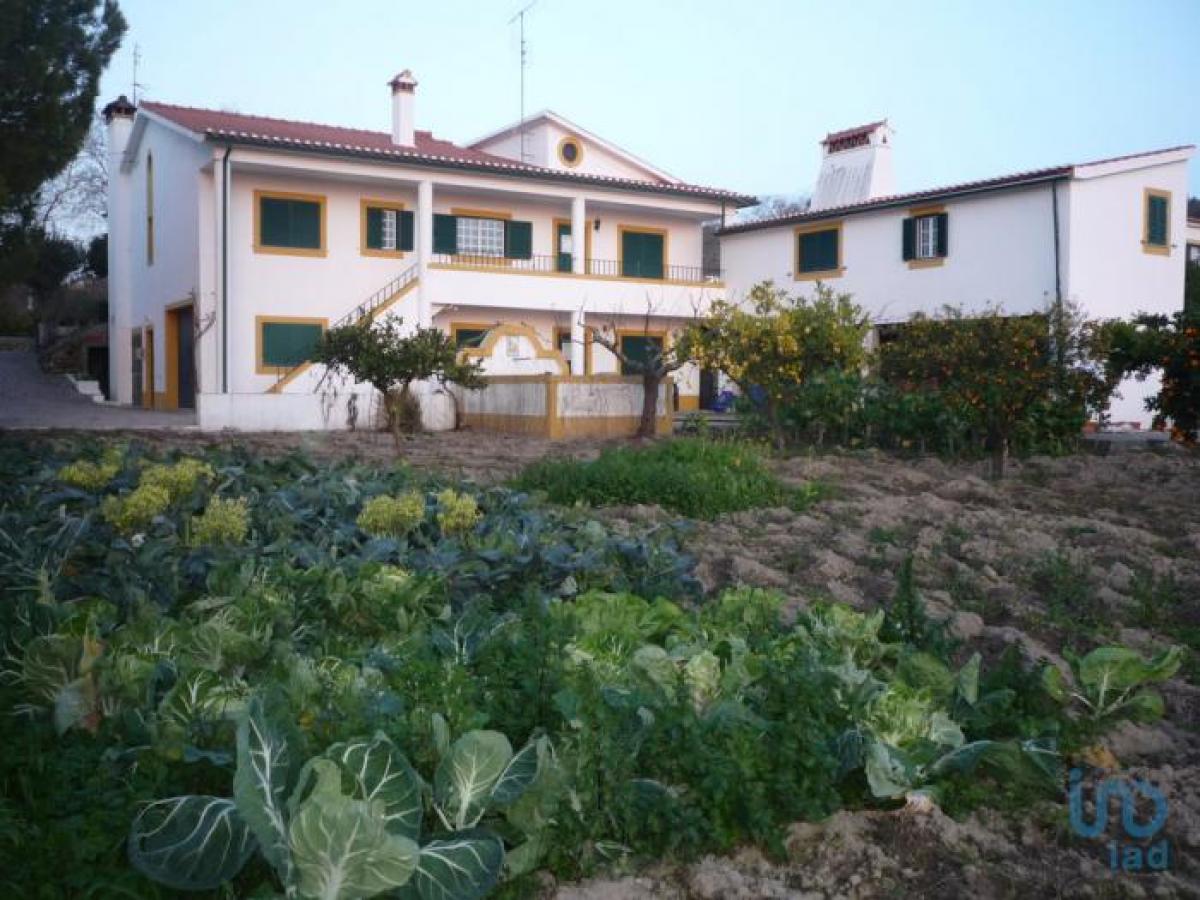 6 bedrooms House in Portalegre, Portugal No. 9