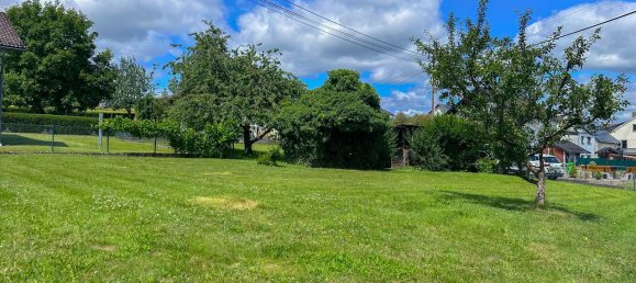 Земельный участок в Вестервальд, Германия № 254332 5