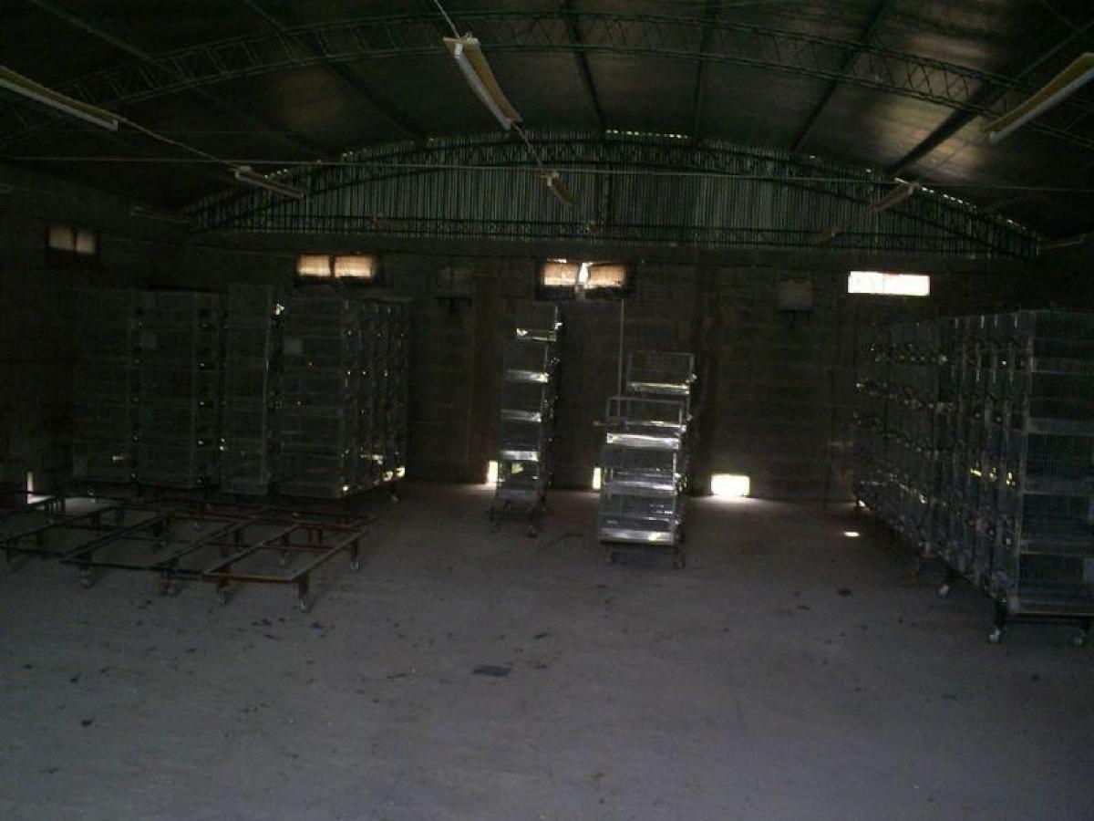 Edificio en Mar del Plata, Argentina No. 106734