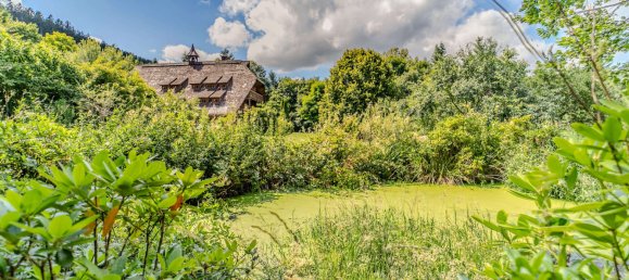 4 Schlafzimmer Bauernhof in Schwarzwald-Baar-Kreis, Germany, Nr. 257051 3
