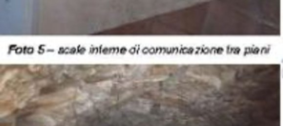 3 rooms Apartment in Palo del Colle, Italy No. 43371 8