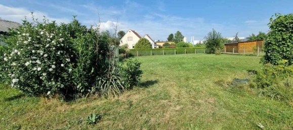 Grundstück in Liebenau, Austria, Nr. 64277 2