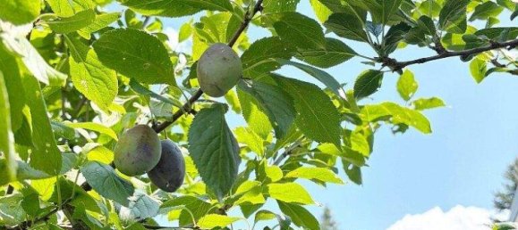 3غرفة منزل في Penzing, Austria رقم 201515 7