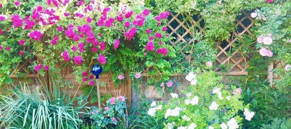 3غرفة منزل في Penzing, Austria رقم 201515 5