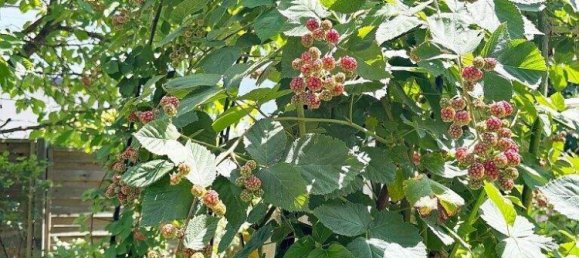 3غرفة منزل في Penzing, Austria رقم 201515 8