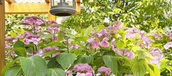 3غرفة منزل في Penzing, Austria رقم 201515 11