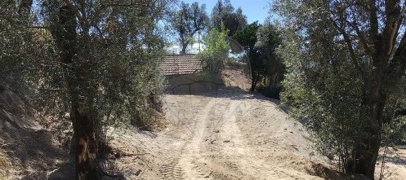 Casa de 2 dormitorios en Celorico de Basto, Portugal No. 37751 4