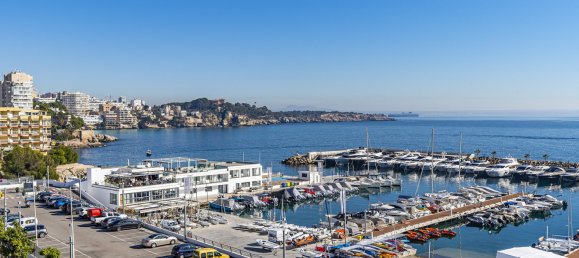 11 غرف نوم منزل في Palma de Majorca, Spain رقم 72080 24