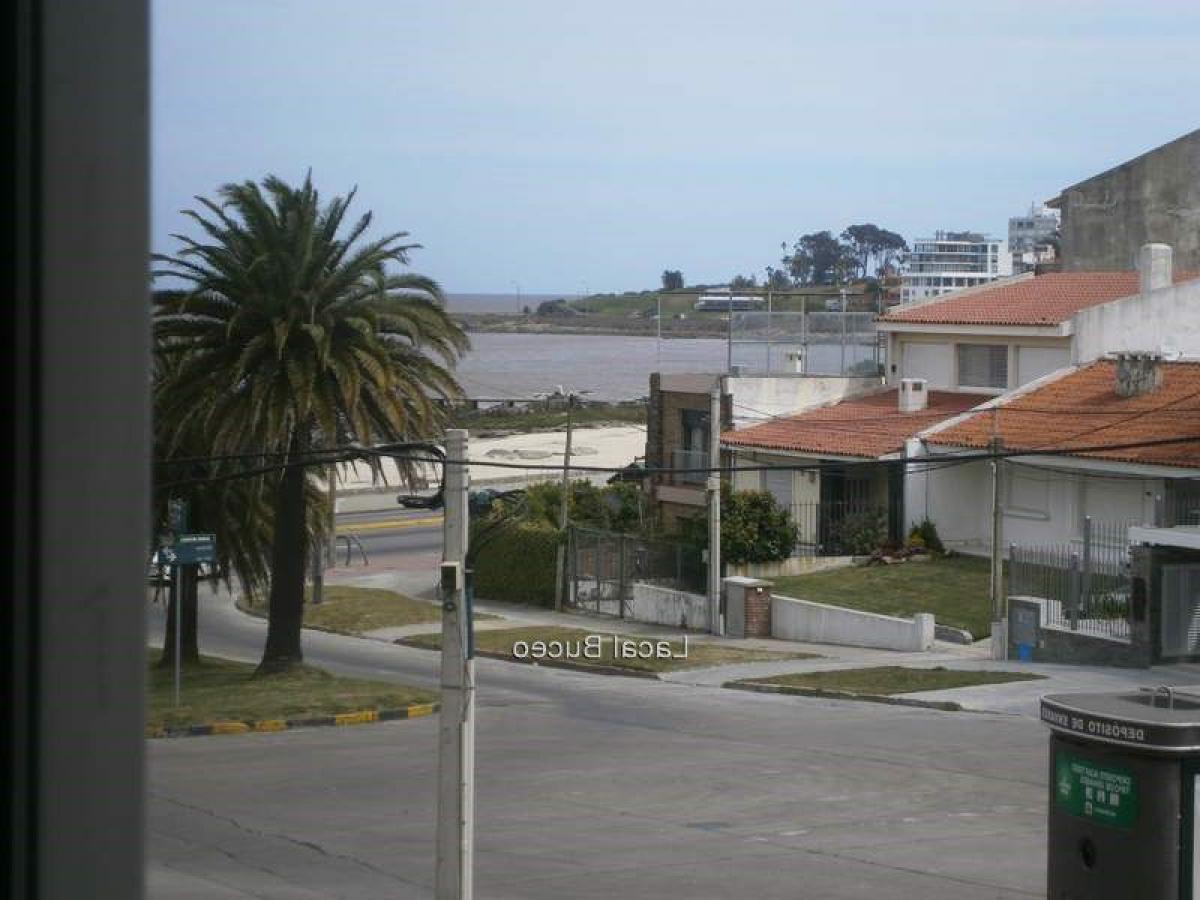 2 bedrooms Apartment in Montevideo, Uruguay No. 8627