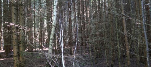 Grundstück in Erding, Germany, Nr. 317476 3