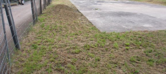 Grundstück in Anhalt-Bitterfeld, Germany, Nr. 262005 14