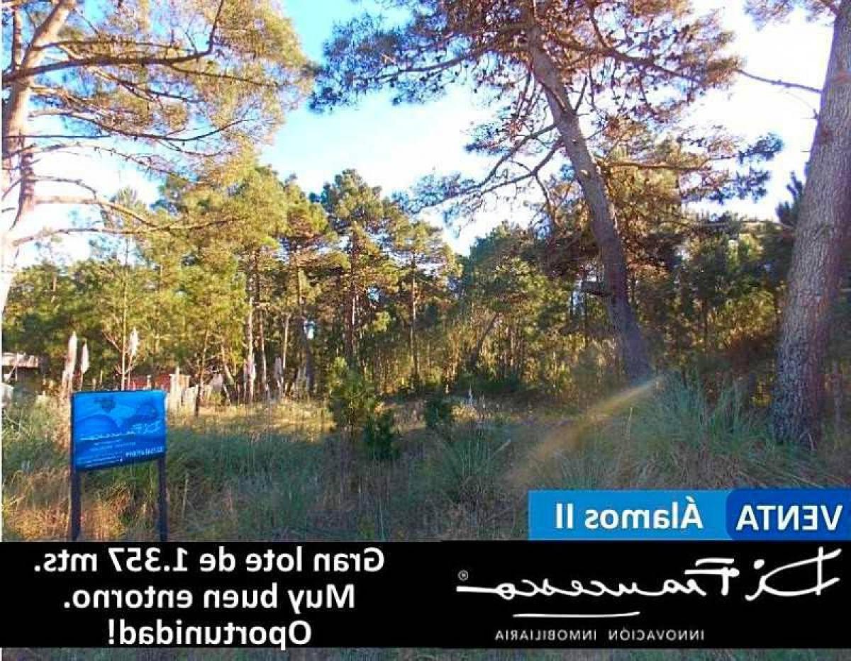 Grundstück in Mar del Plata, Argentina, Nr. 116636