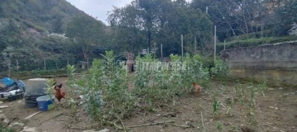 3 bedrooms Apartment in Rapallo, Italy No. 119143 12