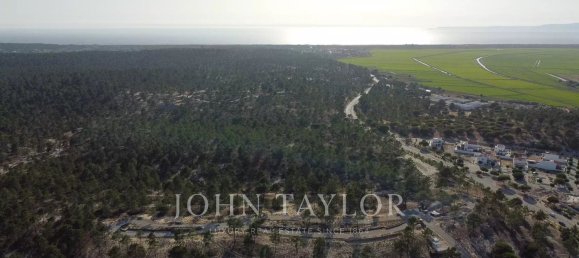 1381m² Land in Grandola, Portugal No. 130380 8