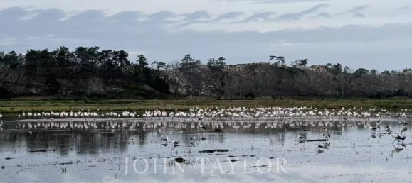 1381m² Land in Grandola, Portugal No. 130380 20