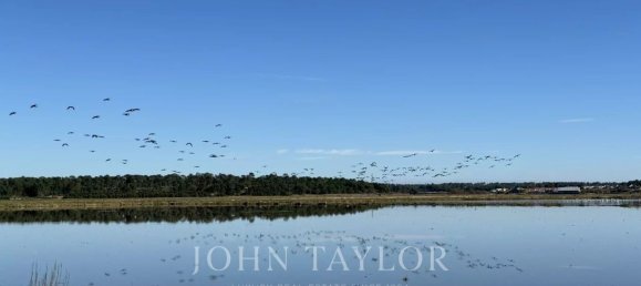 1381m² Land in Grandola, Portugal No. 130380 17