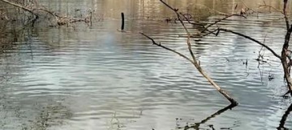 3 chambres Maison à Saint-Mesmin, France No. 342349 18