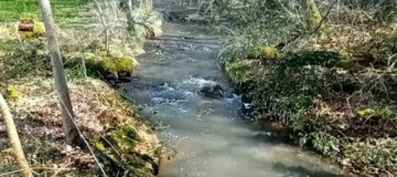 3 chambres Maison à Saint-Mesmin, France No. 342349 17