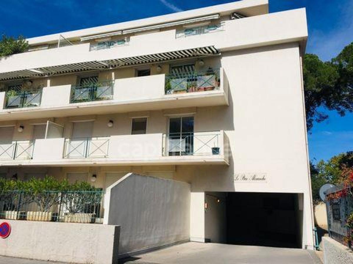 Laden in Montpellier, France 30m², Nr. 20054