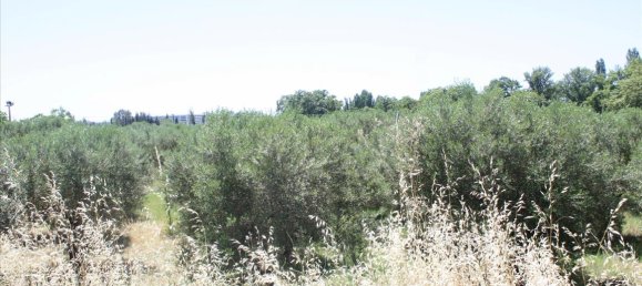 3500m² Hotel in Chalkidiki, Greece No. 6650 5